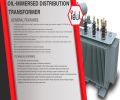 Ideal Transformer Production Capacity and Engineering Scope